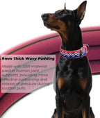 Dog Collar for Large Dogs,2 in Wide Heavy Duty,Pressure-Relief Padded, B-L | Professional Protection for Large and Giant Breeds,Handle for Control,Stainless Steel Buckle Ultra Safety,23-26 in