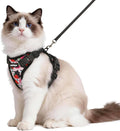 rabbitgoo Cat Harness and Leash Set, Escape Proof Vest, Berry Pounce | Soft Breathable Mesh, Easy Adjustable Fit, Snap Buckles, Sturdy Clip, Reflective Strips, for Medium to Large Cats Walks, M