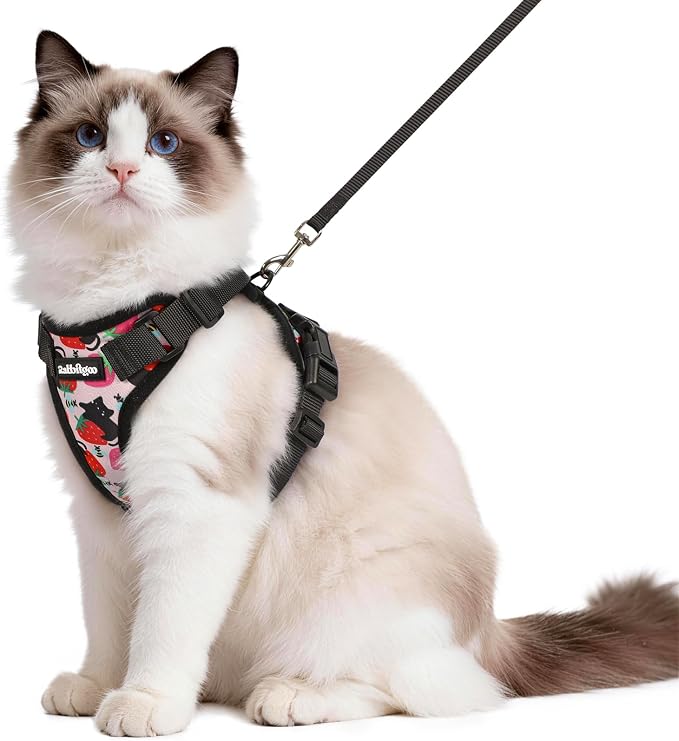 rabbitgoo Cat Harness and Leash Set, Escape Proof Vest, Berry Pounce | Soft Breathable Mesh, Easy Adjustable Fit, Snap Buckles, Sturdy Clip, Reflective Strips, for Medium to Large Cats Walks, M