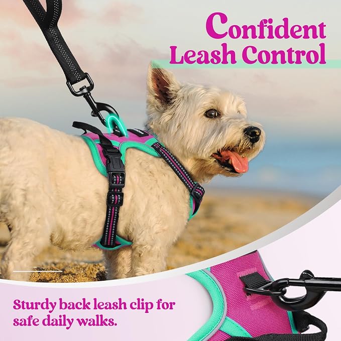 rabbitgoo Dog Harness, No Pull for Small Dogs with 2 Leash Clips, Pet Vest | No Choke with Handle, Adjustable Soft Padded, Reflective, Easy Control for Walking, Hot Pink & Turquoise, X-Small