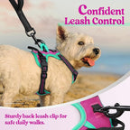 rabbitgoo Dog Harness, No Pull for Small Dogs with 2 Leash Clips, Pet Vest | No Choke with Handle, Adjustable Soft Padded, Reflective, Easy Control for Walking, Hot Pink & Turquoise, X-Small