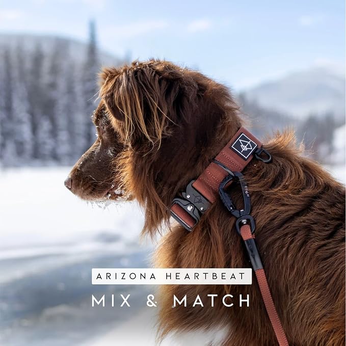 MADE TO ROAM Premium Explorer Leash - Climbing Rope Leash with Autolocking Aviation Aluminum Carabiner - Vermont Weekends, 6ft