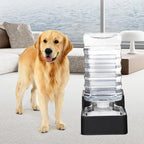RIZZARI 10L Automatic Dog Water Dispenser with 304 Stainless Steel Bowl | Gravity-Fed Refill,Spill-Resistant,Detachable for Cleaning,Stable Anti-Tip Base,Food-Grade Materials,for Daily Hydration