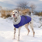 Lelepet Dog Coat Waterproof Dog Jacket Fleece Vest with Adjustable Buckle | Reflective Pet Winter Coat Turtleneck Snowsuit Windproof Cold Weather Coats for Small Medium Large Dogs,Leash Hole,Blue, S