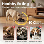Ceramic Slow Feeder Dog Bowls 0.6 Cups for Small Fast Eaters,White | Reduces Bloating,6.02x1.38 Inch Dish For Daily Dog Meals, Maze Puzzle Slows Down Eating, Anti-Choking,9.0oz Water