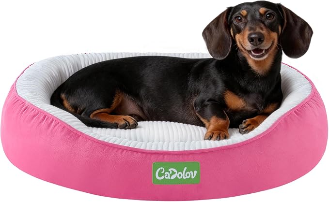 Round Pet Bed for Cats & Small Medium Dogs, Pink 25in | Washable Small Dog Beds, Calming Soft Pet Beds for Puppy Kitten, with Anti-Slip Bottom, Low Entrance