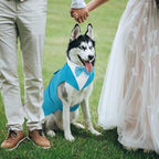 Kuoser Dog Tuxedo, Dog Suit and Bandana Set, Dogs Costume with D-Ring | Formal Dog Outfit with Detachable Bowtie Collar for Wedding, Birthday, Party, Christmas, Halloween, Lake Blue S