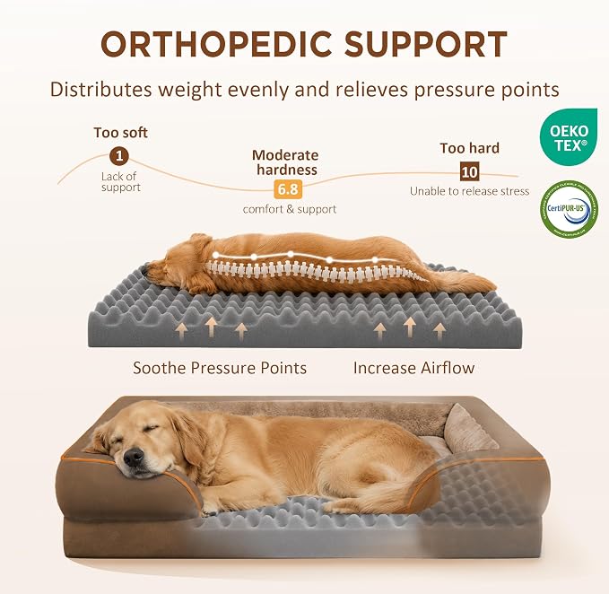 Comfort Expression Orthopedic Dog Bed for Extra Large Dogs with Bolster | Waterproof Dog Couch Bed with Washable Cover & Non-Slip Bottom, Supportive Egg Crate Foam XL Pet Bed, 48x30 Inch