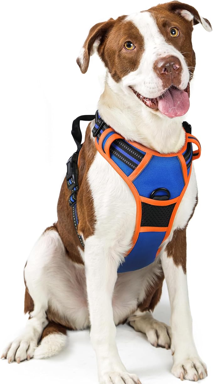 rabbitgoo Dog Harness, No Pull for Large Dogs with 2 Leash Clips, Pet Vest | No Choke with Handle, Adjustable Soft Padded, Reflective, Easy Control for Walking, Blue & Orange, Large