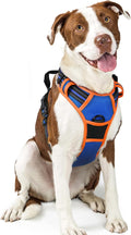 rabbitgoo Dog Harness, No Pull for Large Dogs with 2 Leash Clips, Pet Vest | No Choke with Handle, Adjustable Soft Padded, Reflective, Easy Control for Walking, Blue & Orange, Large