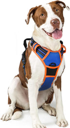 rabbitgoo Dog Harness, No Pull for Large Dogs with 2 Leash Clips, Pet Vest | No Choke with Handle, Adjustable Soft Padded, Reflective, Easy Control for Walking, Blue & Orange, Large