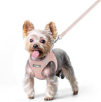 rabbitgoo Dog Harness Small Sized and Leash Set, Step-in Puppy Pet Vest | Light, Soft, Breathable Air Mesh, Easy on and Remove with Hook & Loop, Secure Reflective for Walking, Pink XS