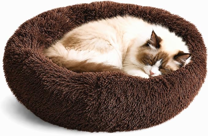 Whiskers & Friends Cat Beds for Indoor Cats, Fluffy Cat Bed Small to Large | Orthopedic Soft Plush Calming Donut Bed, Washable Round Pet Bed, Sized for Kitten to Large Cats & Puppy to Small Dogs