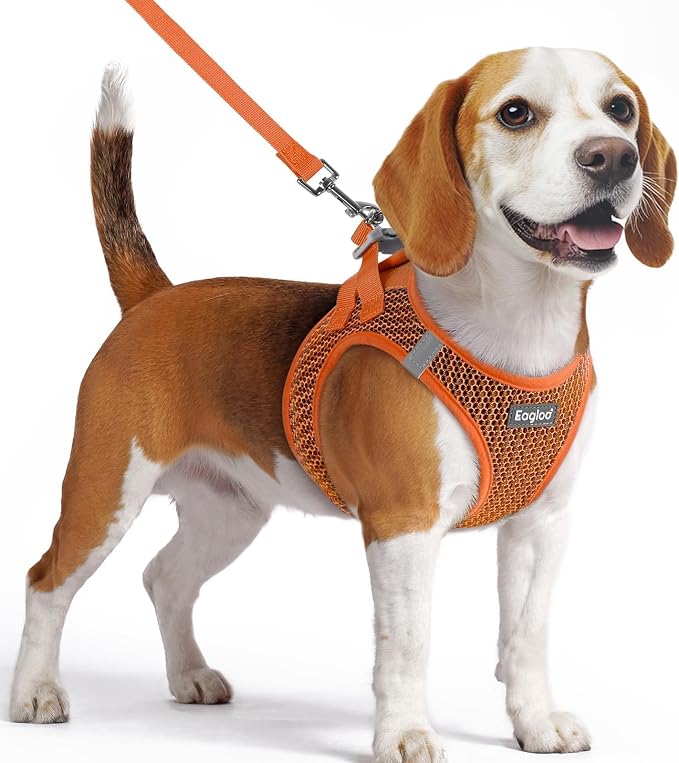 Eagloo Small Dog Harness and Leash Set, Step in Medium Small Puppy Pet Vest | Light, Soft, Breathable Air Mesh, Easy on and off with Hook & Loop, Reflective for Safe Walking, Orange, M