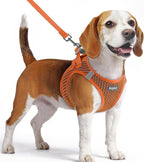 Eagloo Small Dog Harness and Leash Set, Step in Medium Small Puppy Pet Vest | Light, Soft, Breathable Air Mesh, Easy on and off with Hook & Loop, Reflective for Safe Walking, Orange, M
