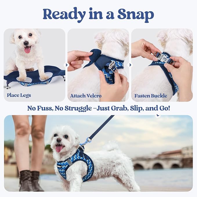 rabbitgoo Dog Harness Small Sized and Leash Set, Step-in Puppy Pet Vest | Light, Soft, Breathable Air Mesh, Easy on and Remove with Hook & Loop, Secure Reflective for Walking, Blue Zigzag XS