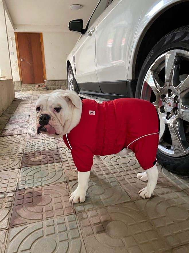 Lovelonglong Waterproof Dog Raincoat – 4-Leg Full Body Dog Rain Suit with Reflective Strips & Leash Opening, Outdoor Dog Jacket for Rainy Weather