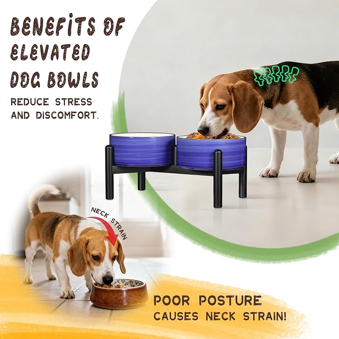 Ceramic Elevated Dog Bowl Set, 6.1''Raised Dog Food and Water Bowl Set with Non-Slip Stainless Steel Stand, Double Raised Dish for Small and Medium Breed, 3.5 Cups / 22 Fl Oz, Green