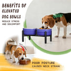 Ceramic Elevated Dog Bowl Set, 6.1''Raised Dog Food and Water Bowl Set with Non-Slip Stainless Steel Stand, Double Raised Dish for Small and Medium Breed, 3.5 Cups / 22 Fl Oz, Green