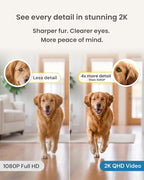 Furbo Mini 360° Pet Camera [Paid Plan Required to Activate] | Stay connected with AI Pet & Home Safety Alerts, 2K QHD View, Auto-Tracking, Video History, 2-Way Audio, Paid Plan Required