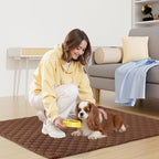 Smiry Waterproof Dog Bed Cover Blanket, Reversible Pet Blanket | Soft Reversible, Washable Leakproof Cats Dogs Couch Cover for Sofa, Couch, Furniture (40x50 Inch)