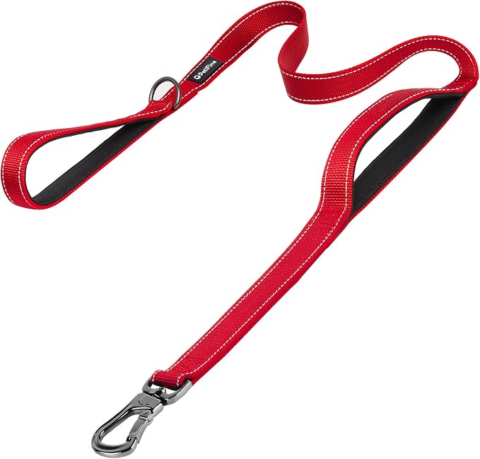 PetiFine 5FT Heavy Duty Dog Leash with Soft Padded Double Handle | Traffic Handle Extra Control,Auto Lock Hook,Reflective Nylon Walking Lead for Large,Medium,Small Breed Dogs