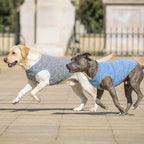 KYEESE 2Pack Dog Shirt, Lightweight Sun Protection Sleeveless Dog T Shirts for Large Dogs Boy, Breathable Pet Reflective Tank Top Summer Dogs Clothes for Outdoor Walking, Grey+Light Blue, 3XL