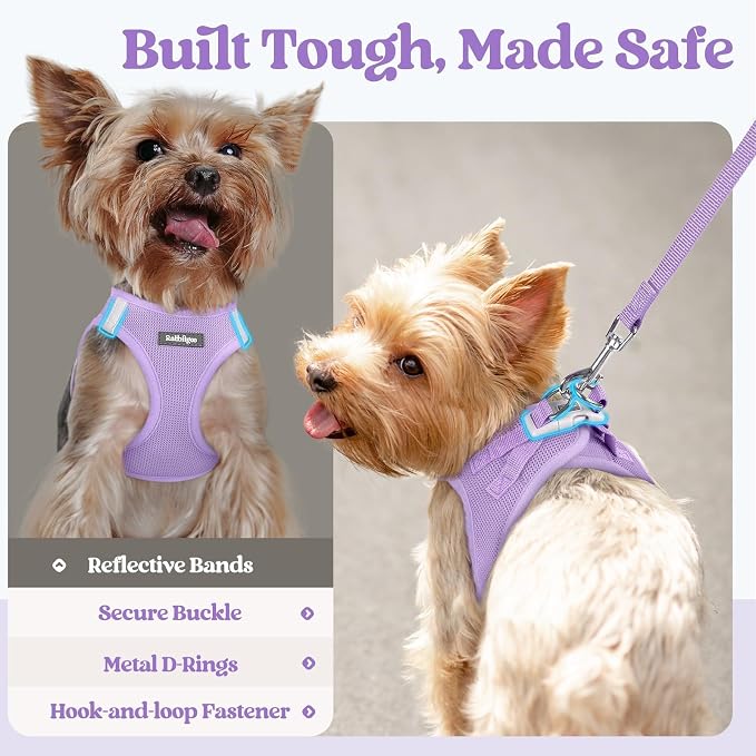 rabbitgoo Dog Harness Small Sized and Leash Set, Step-in Puppy Pet Vest | Light, Soft, Breathable Air Mesh, Easy on and Remove with Hook & Loop, Secure Reflective for Walking, Light Purple S