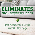 Biokleen Bac Out Enzyme Cleaner, Stain & Pet Odor Eliminator, Lime Scent | Pet Stain Remover for Carpet, Enzymatic Cleaner for Dog Urine, Cat Urine Enzyme Cleaner Destroyer, Eco-Friendly, Non-Toxic