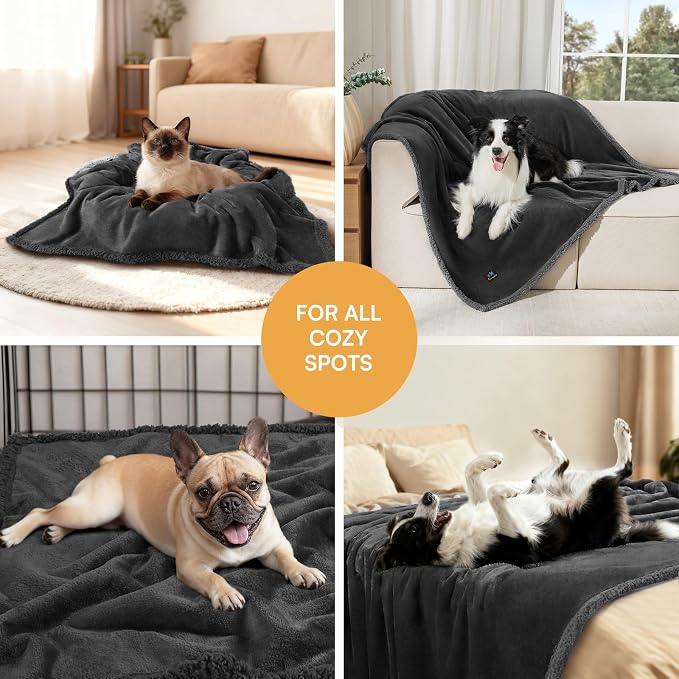 Waterproof Pet Blanket, Liquid Pee Proof Dog Blanket for Sofa Bed Couch, Reversible Sherpa Fleece Furniture Protector Cover for Small Medium Large Dogs Cats, Black Small（40" x 28"） | waterproof pet blanket sherpa fleece reversible couch cover bed prote...