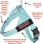 BULLHUG Adjustable Dog Harness– No Pull, No Choke – for English Bulldogs, French Bulldogs, Pugs & Broad-Chested Breeds – Easy, Safe Walks (Taco, Medium)