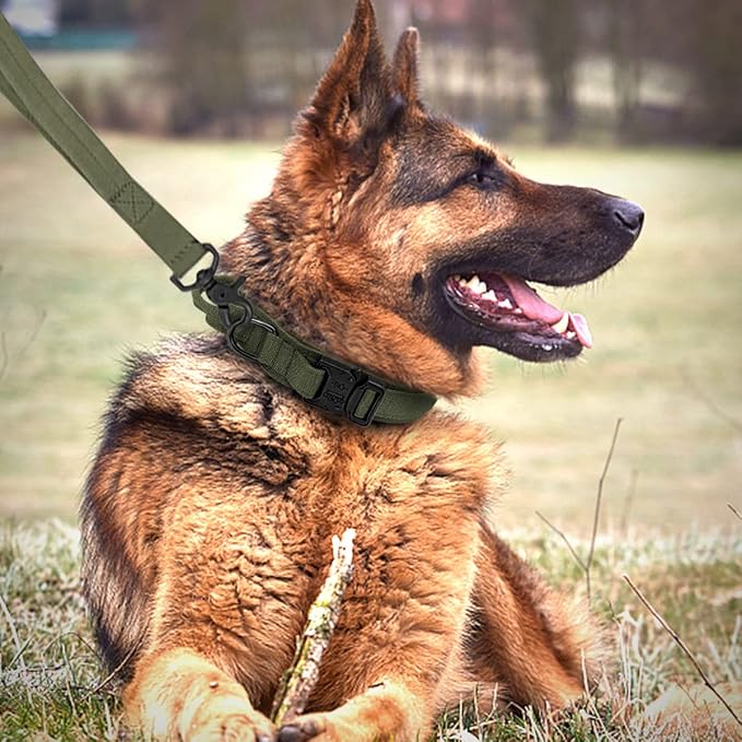 Tactical Dog Collar and Leash Set Heavy Duty Military Dog Collar with Handle and Metal Buckle for Medium and Large Dogs (Army Green, L)