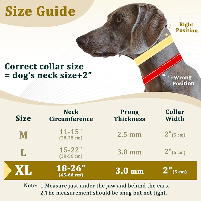 Mayerzon Prong Collar for Large Medium Dogs with Metal Buckle | No Pull Pinch Collar with Hidden Covered Walking Training for Pitbull German Shepherd Doberman Patented