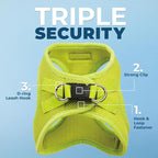 Best Pet Supplies Voyager Step-in Air All Weather Mesh Harness and Reflective Dog 5ft Leash Combo with Neoprene Handle, for Small, Medium and Large Breed Puppies - Lime Green, XX-Small