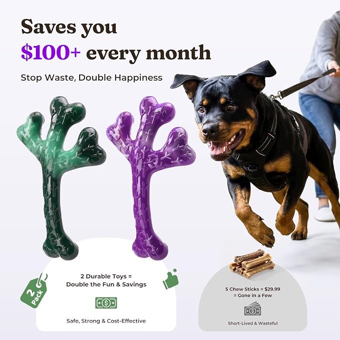 Frienhund 2-Pack Indestructible Dog Chew Toys for Aggressive Chewers | Textured Cactus with Grooves for Peanut Butter & Yogurt, Beef Nylon Bones for Large Dogs 20-90 lbs, Easy Chew & Long Lasting