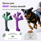 Frienhund 2-Pack Indestructible Dog Chew Toys for Aggressive Chewers | Textured Cactus with Grooves for Peanut Butter & Yogurt, Beef Nylon Bones for Large Dogs 20-90 lbs, Easy Chew & Long Lasting