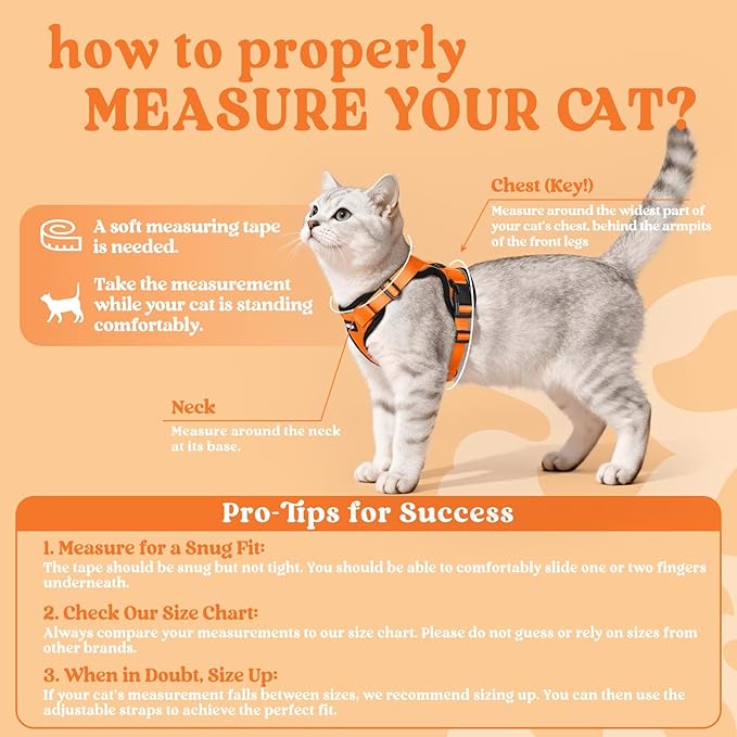 rabbitgoo Cat Harness and Leash Set, Escape Proof Vest, Orange | Soft Breathable Mesh, Easy Adjustable Fit, Snap Buckles, Sturdy Clip, Reflective Strips, for Medium to Large Cats Walks, M