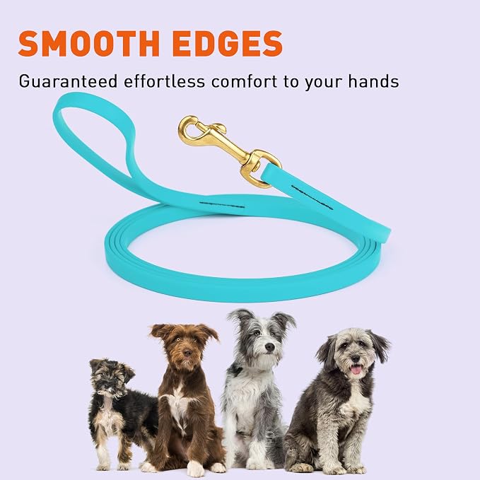Viper Biothane K9 Working Dog Leash Waterproof Lead for Tracking Training Schutzhund Odor-Proof Long Line with Solid Brass Snap for Puppy Medium and Large Dogs, 10ft Sky Blue