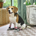 SCENEREAL Anti Slip Dog Socks to Prevent Licking Paws for Hardwood Floors | Double Sides Dog Shoes Boots & Paw Protectors for Hot/Cold Pavement, Dog Grippy Booties for Small Medium Large Senior Dogs