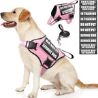Service Dog Vest Harness and Leash Set+10 Patches,No Pull&Easy Walk Reflective Dog Harness with Soft Padded Handle for Training/Everyday,Fit Small/Medium/Large/Extra-Large Dogs (Pink L) | No Pull&Adjustable Reflective Dog Harness Large Sized,Dog Leash ...