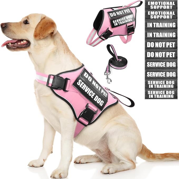 Service Dog Vest Harness and Leash Set+10 Patches,No Pull&Easy Walk Reflective Dog Harness with Soft Padded Handle for Training/Everyday,Fit Small/Medium/Large/Extra-Large Dogs (Pink L) | No Pull&Adjustable Reflective Dog Harness Large Sized,Dog Leash ...