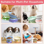 Kathson 4 Pcs Ceramic Raised Cat Food Bowls Elevated Kitty Bowl for Food and Water Anti Vomiting Tilted Cat Bowl for Kittens and Small Dogs Dishwasher and Microwave Safe (8.45 Ounces)