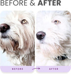 Lillian Ruff PRO Formula Ultra Brightening Dog Shampoo - Professional Whitening & Long-Lasting Odor Eliminator, Remove Stains & Discoloration, Dry Skin & Itch Relief - Aloe & Provitamin B5 16oz+Brush