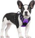 rabbitgoo Dog Harness, No Pull for Small Dogs with 2 Leash Clips, Pet Vest | No Choke with Handle, Adjustable Soft Padded, Reflective, Easy Control for Walking, Purple, Small
