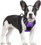 rabbitgoo Dog Harness, No Pull for Small Dogs with 2 Leash Clips, Pet Vest | No Choke with Handle, Adjustable Soft Padded, Reflective, Easy Control for Walking, Purple, Small