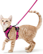 rabbitgoo Cat Harness and Leash Set, Escape Proof Vest, Rose Red | Soft Breathable Mesh, Easy Adjustable Fit, Snap Buckles, Sturdy Clip, Reflective Strips, for Small & Average Cats Walks, Xs