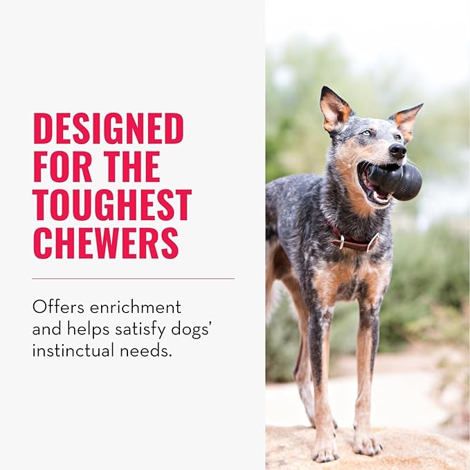 KONG Extreme Dog Toy - Fetch & Chew Toy - Treat-Filling Capabilities & Erratic Bounce for Extended Play Time Most Durable Natural Rubber Material - for Power Chewers - for Small Dogs