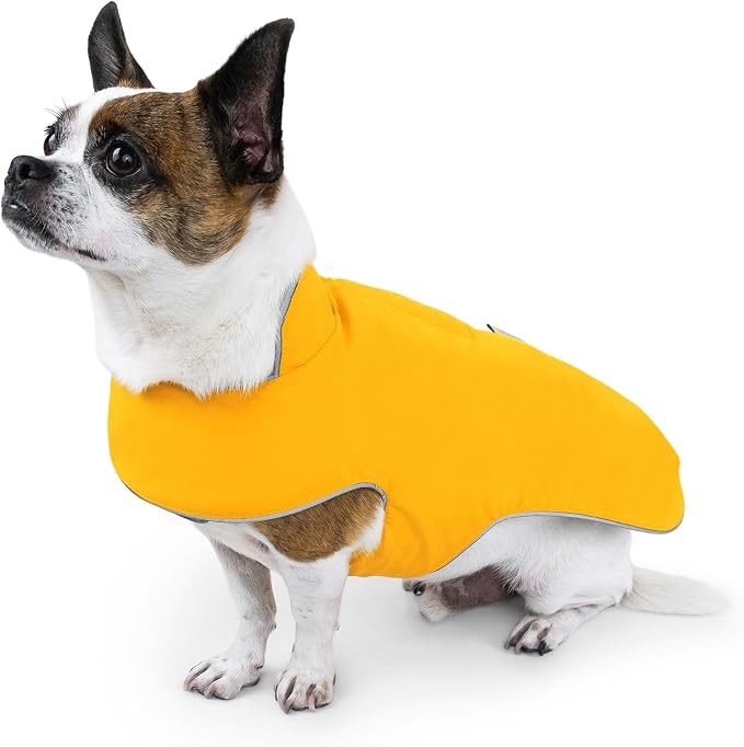 JAN & JUL Dog Rain Jacket (Yellow, Size: S)