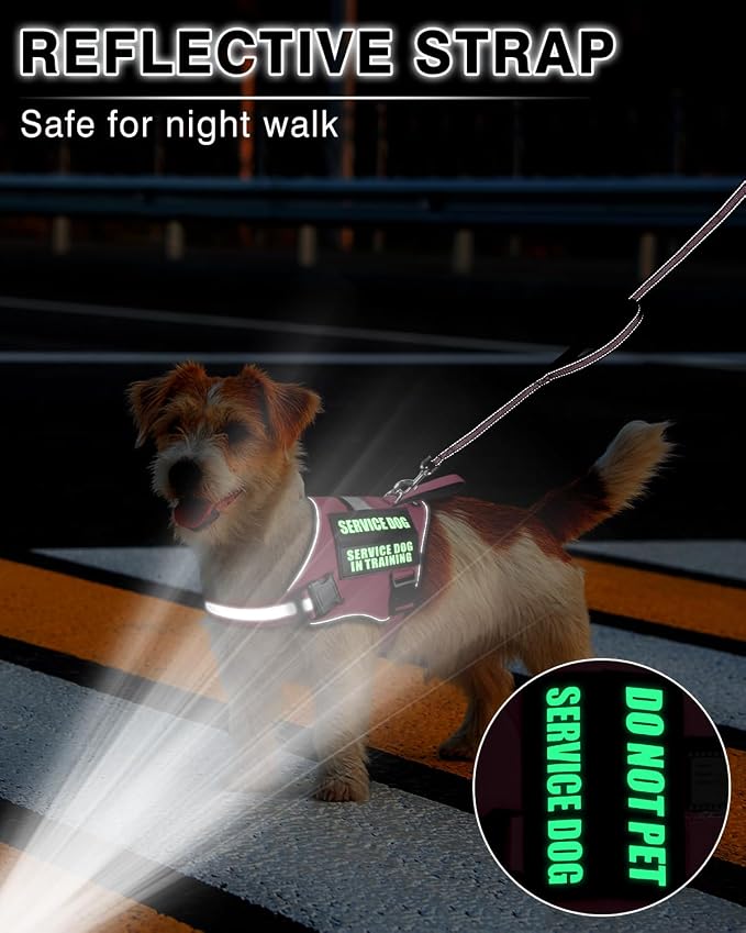 Small Service Dog Vest Harness and Leash Set+10 Patches Pink XS | Adjustable Reflective Do Not Pet Emotional Support Dog Vest with 2 Soft Padded Handle,MOLLE,for Everyday Training Hiking