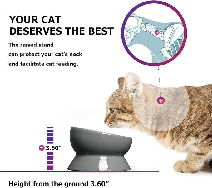 Y YHY Elevated Cat Food Bowl, Raised Pet Food and Water Bowl, Ceramic, 15oz